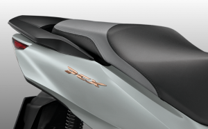 โลโก้ PCX สี Copper